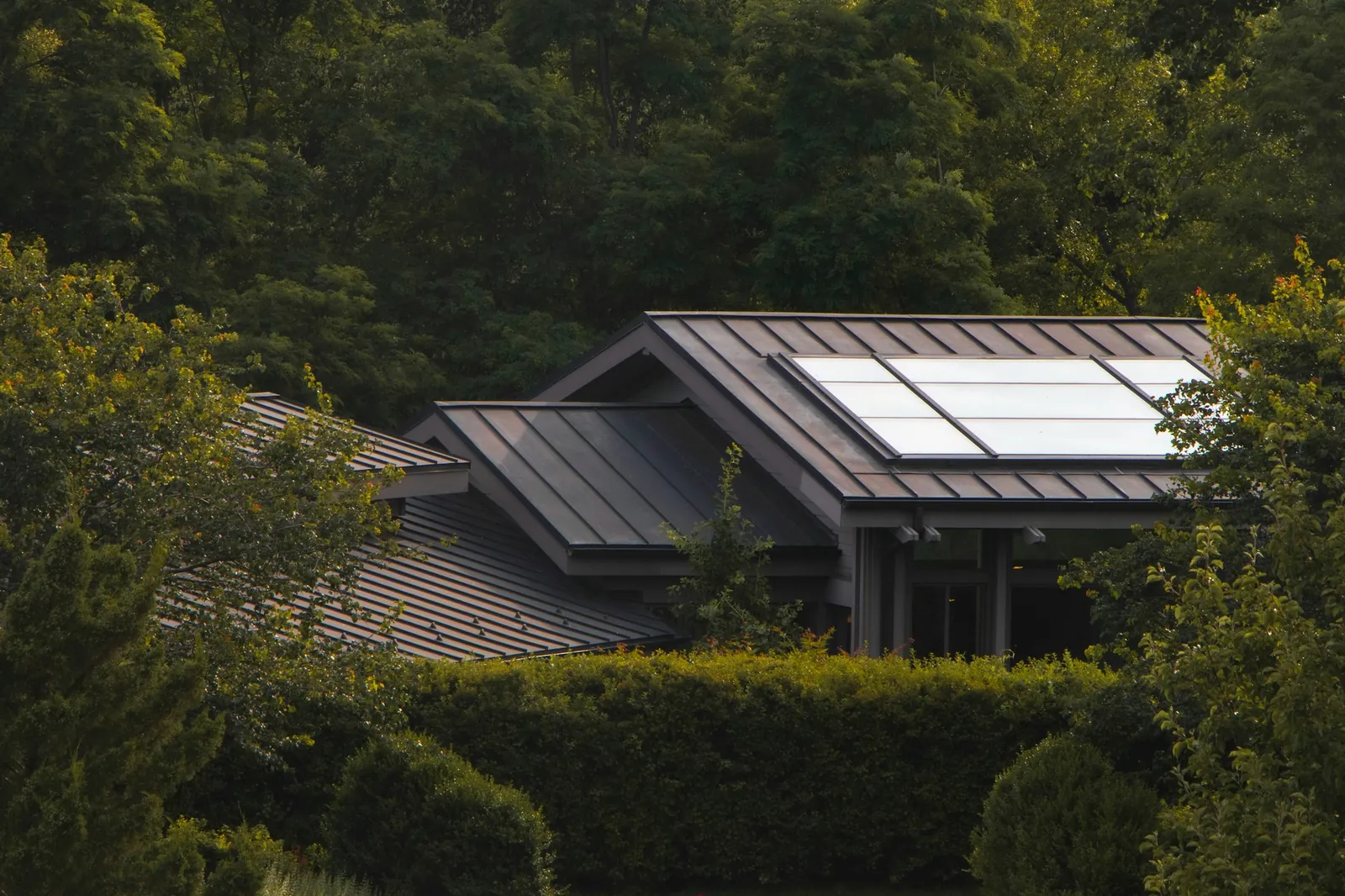 Solar panels on the roof of a house under trees